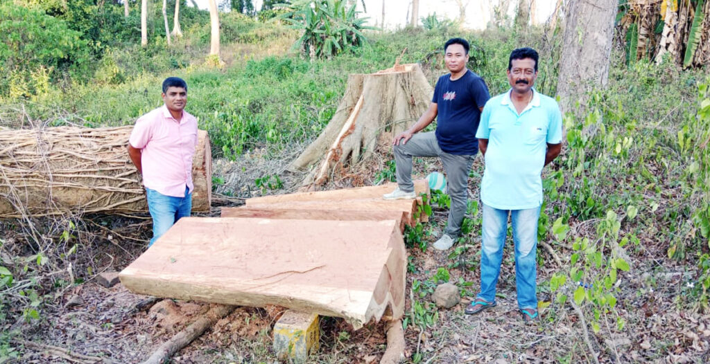 PS Ograbraj Team Seizes Illegal Timber in Port Mout Forest